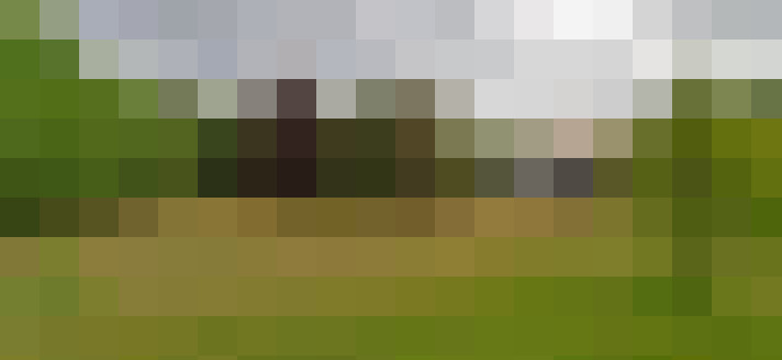  / #71