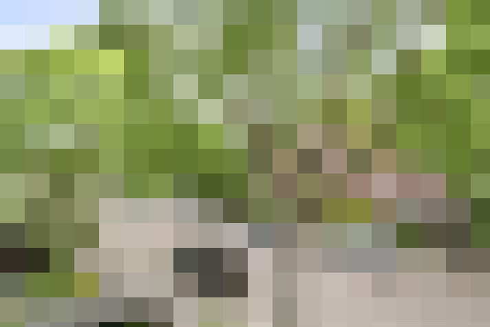 Image 38