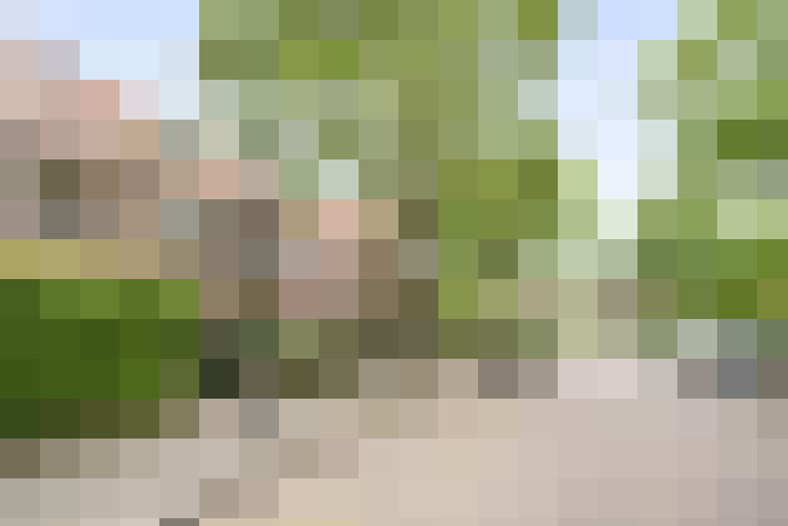Image 42