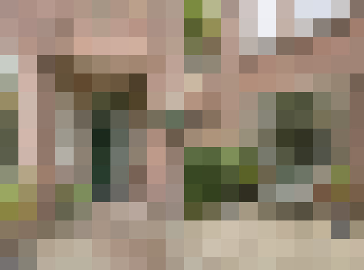 Image 41