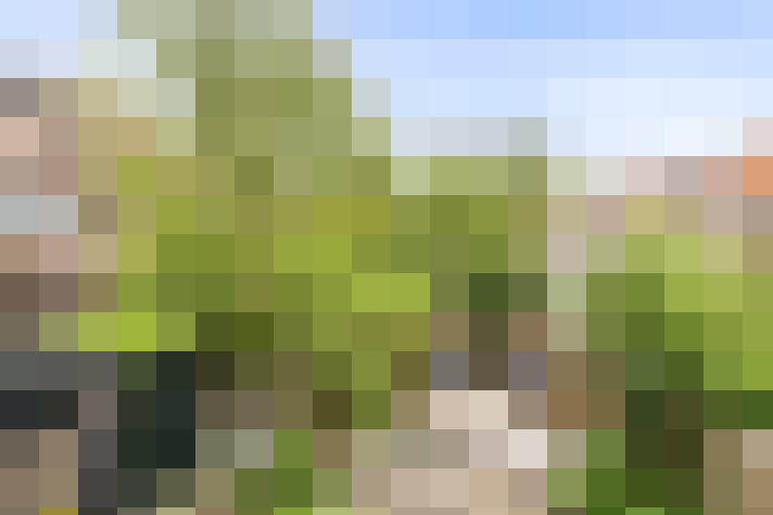 Image 39