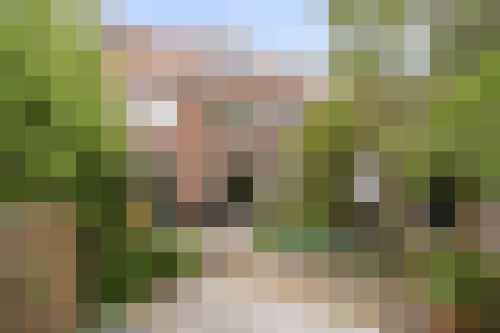 Image 15