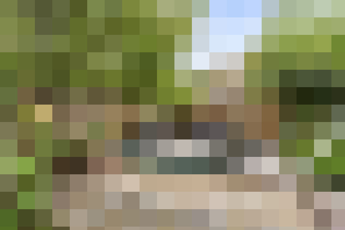 Image 17
