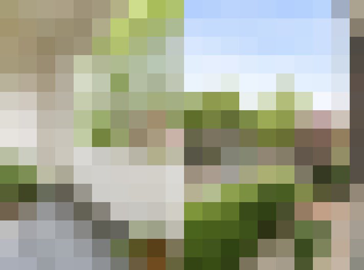 Image 22