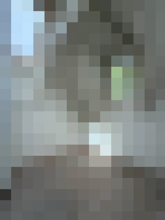  / #17