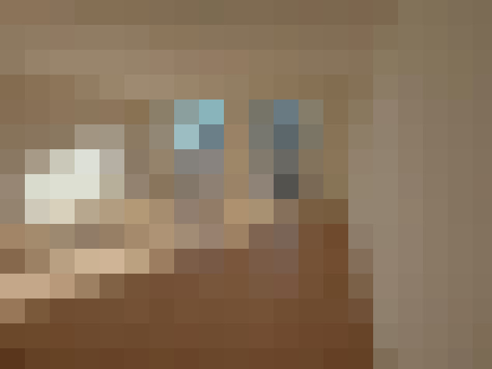  / #6