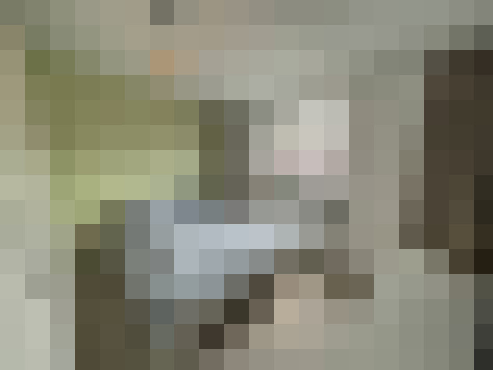 Image 14