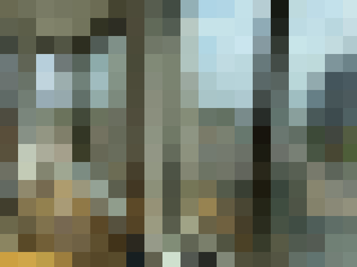 Image 15