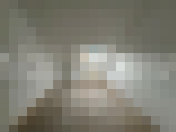 Image 16