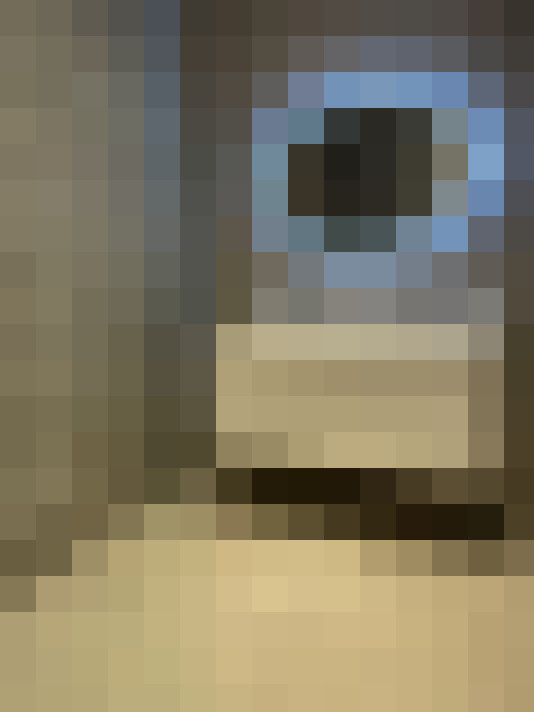 Image 13