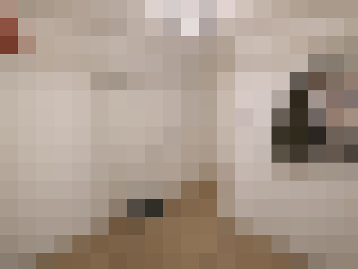  / #10