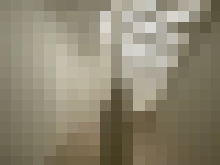  / #12