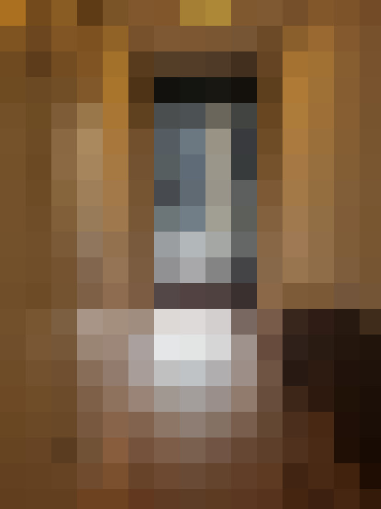  / #13