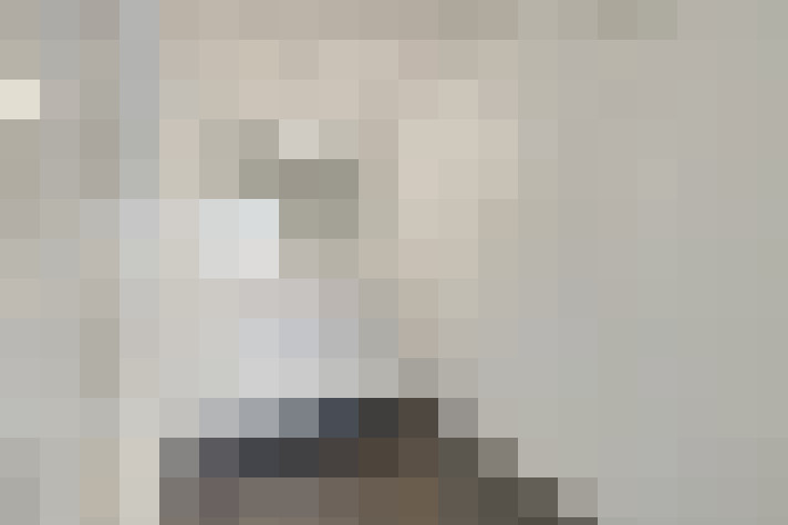  / #23