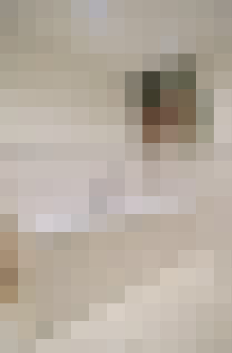 Image 29