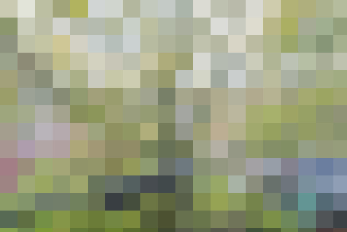 Image 39