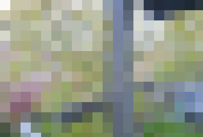 Image 38