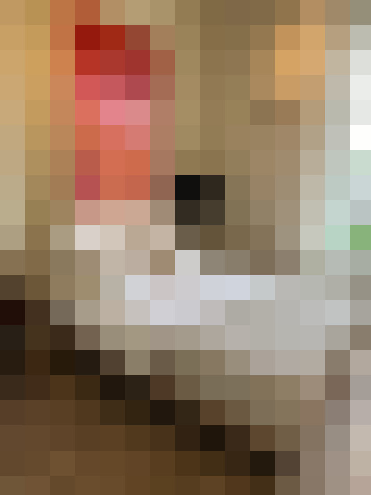  / #15