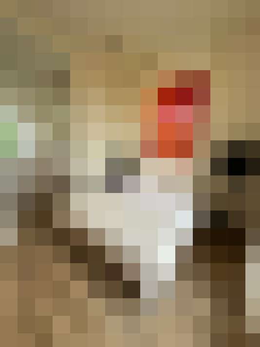  / #17