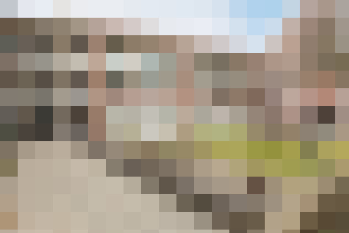  / #7