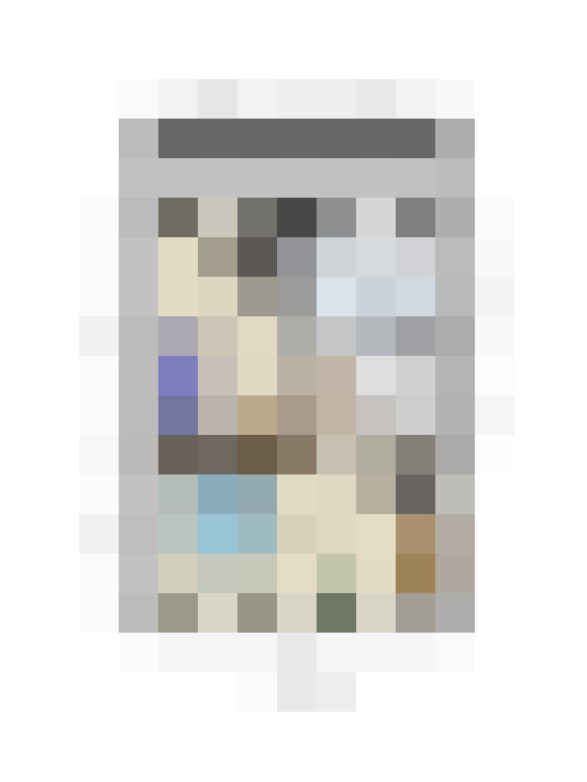 Image 13