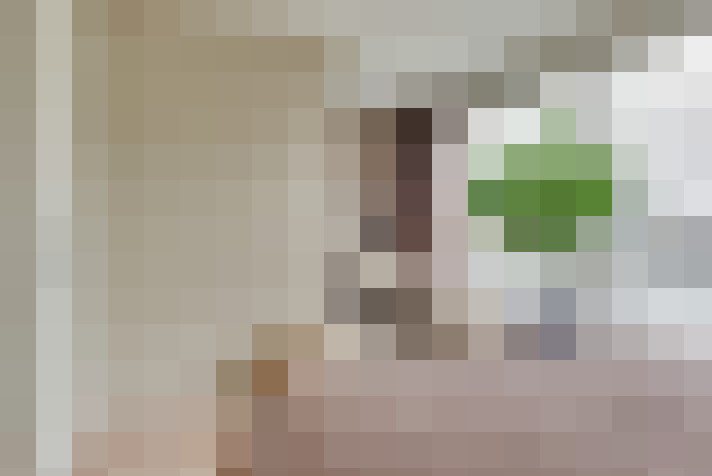 Image 28