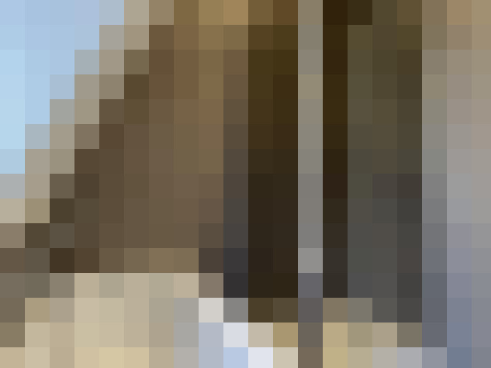 Image 33