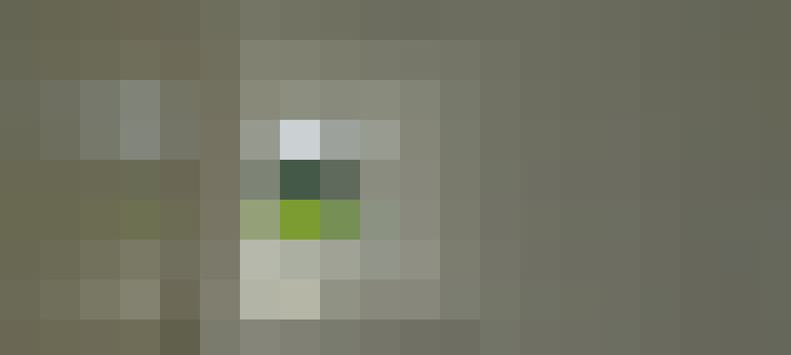  / #17