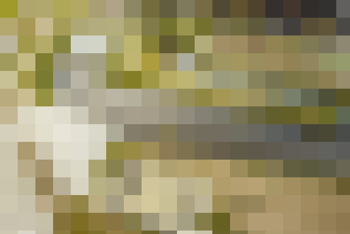  / #37