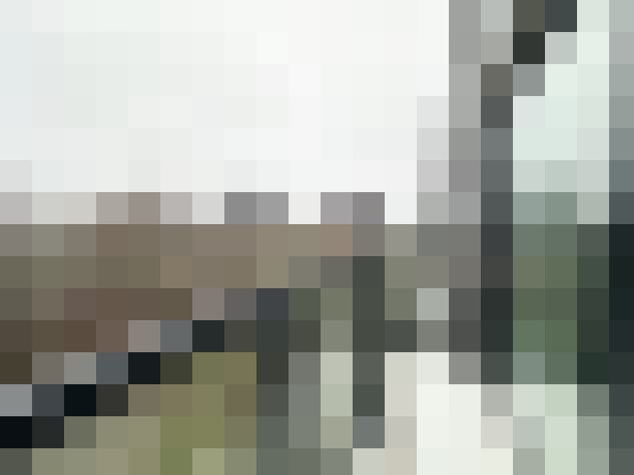 Image 20