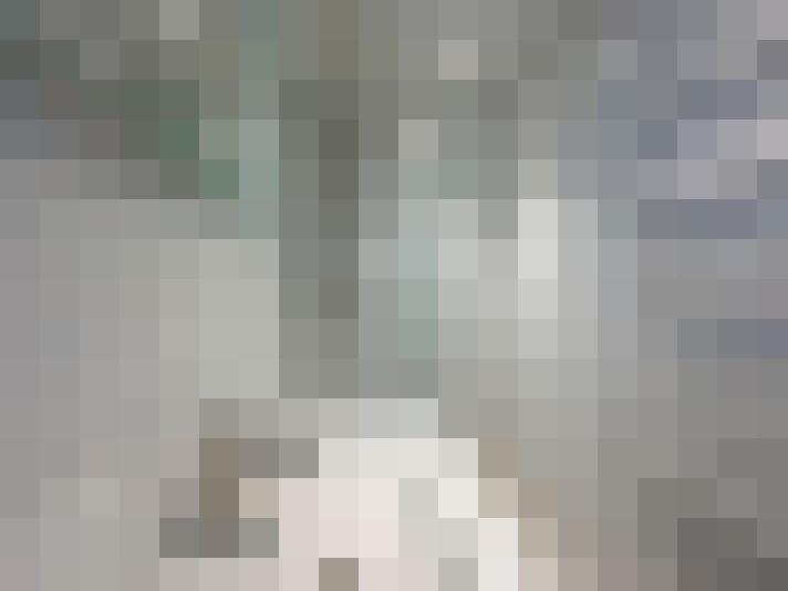 Image 23