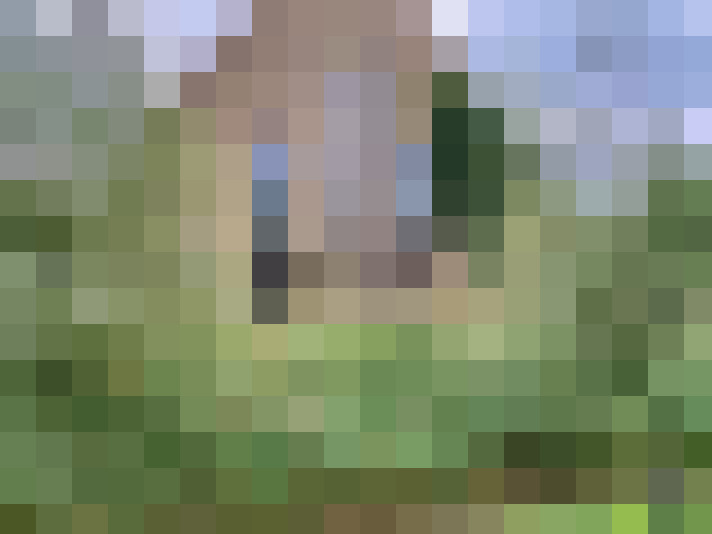 Image 171