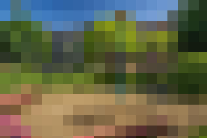  / #18