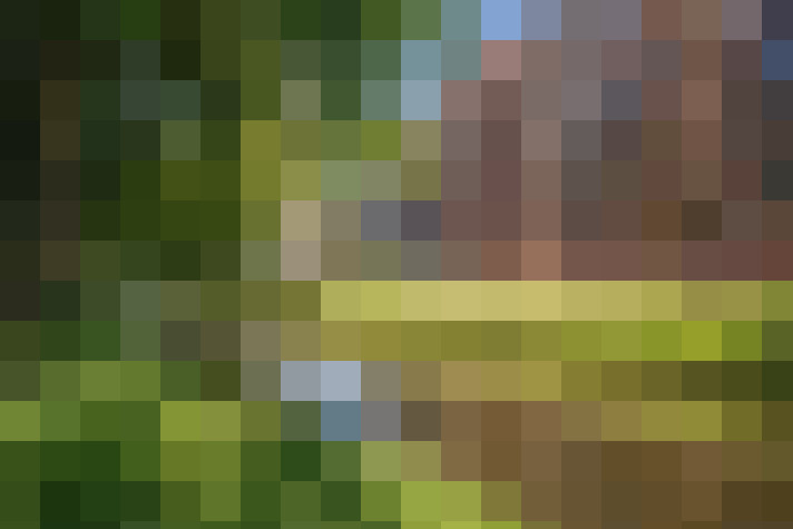  / #17