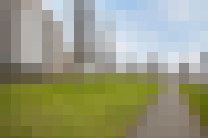 Image 22
