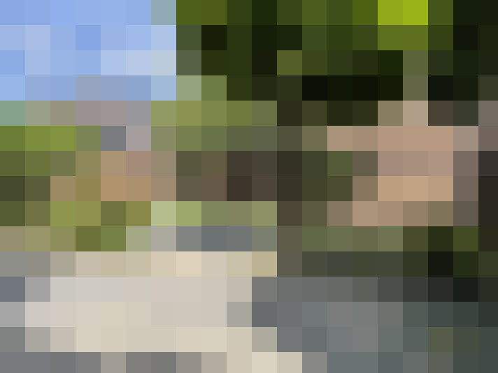 Image 33