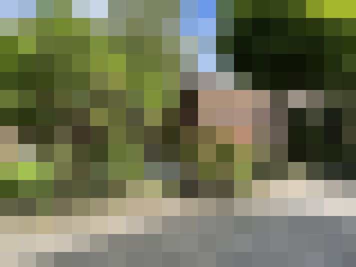 Image 31