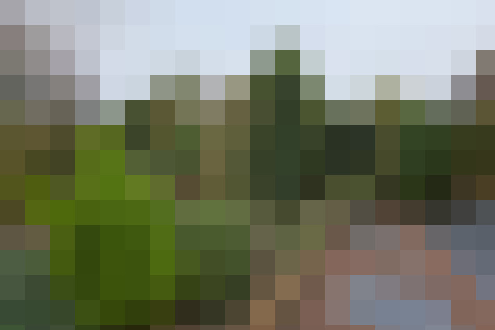 Image 24