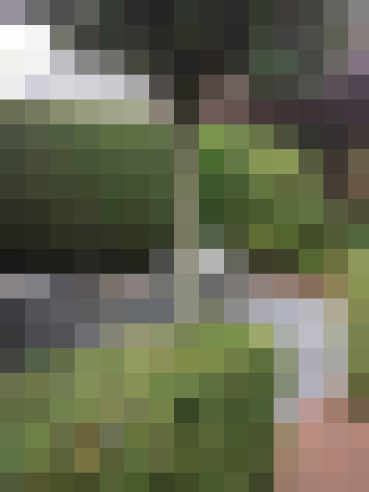 Image 29