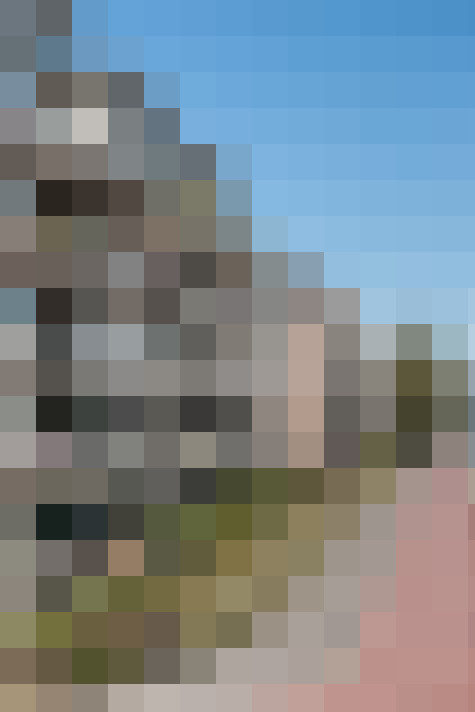 Image 22