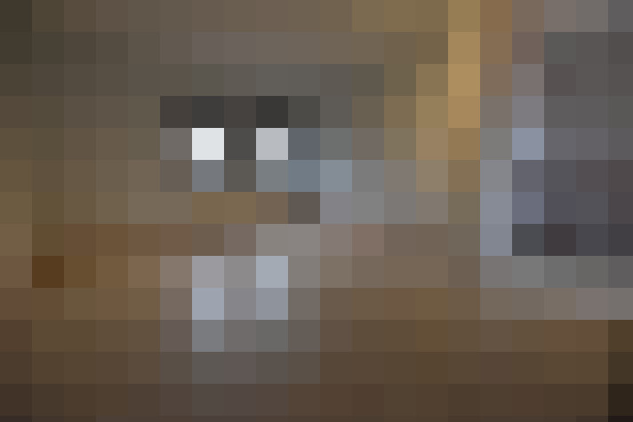 Image 29