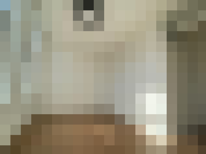 Image 20