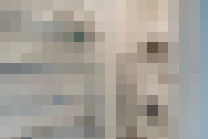 / #15
