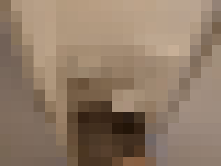  / #11