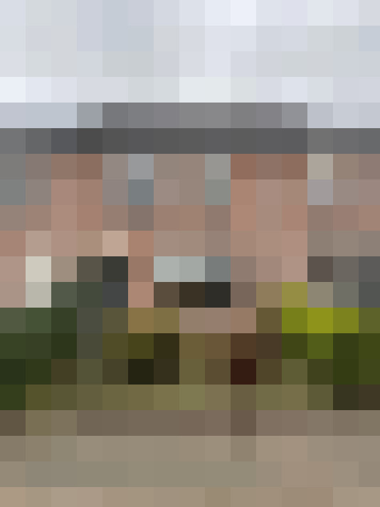 Image 41