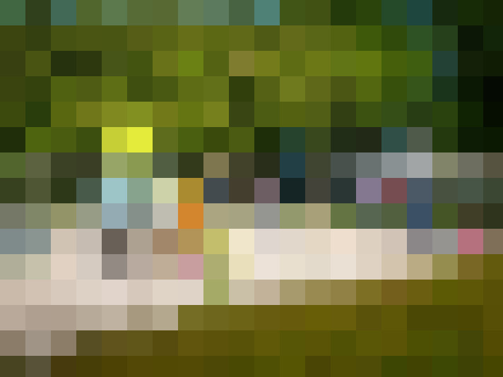 Image 33