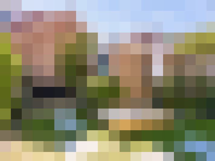 Image 13