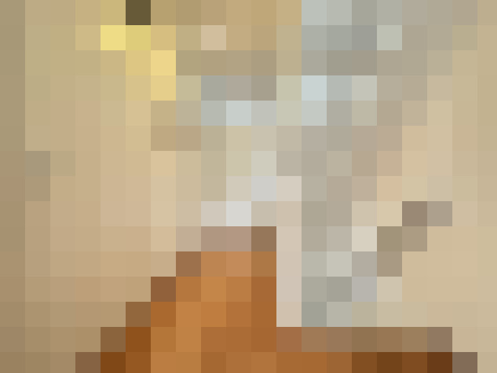 Image 20