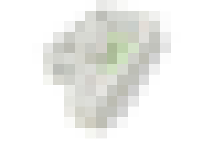  / #19