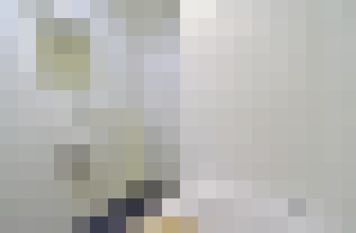  / #22